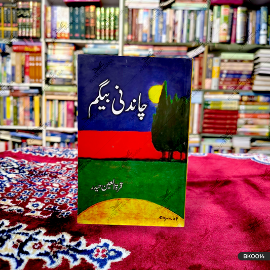 چاندنی بیگم چاندنی بیگم