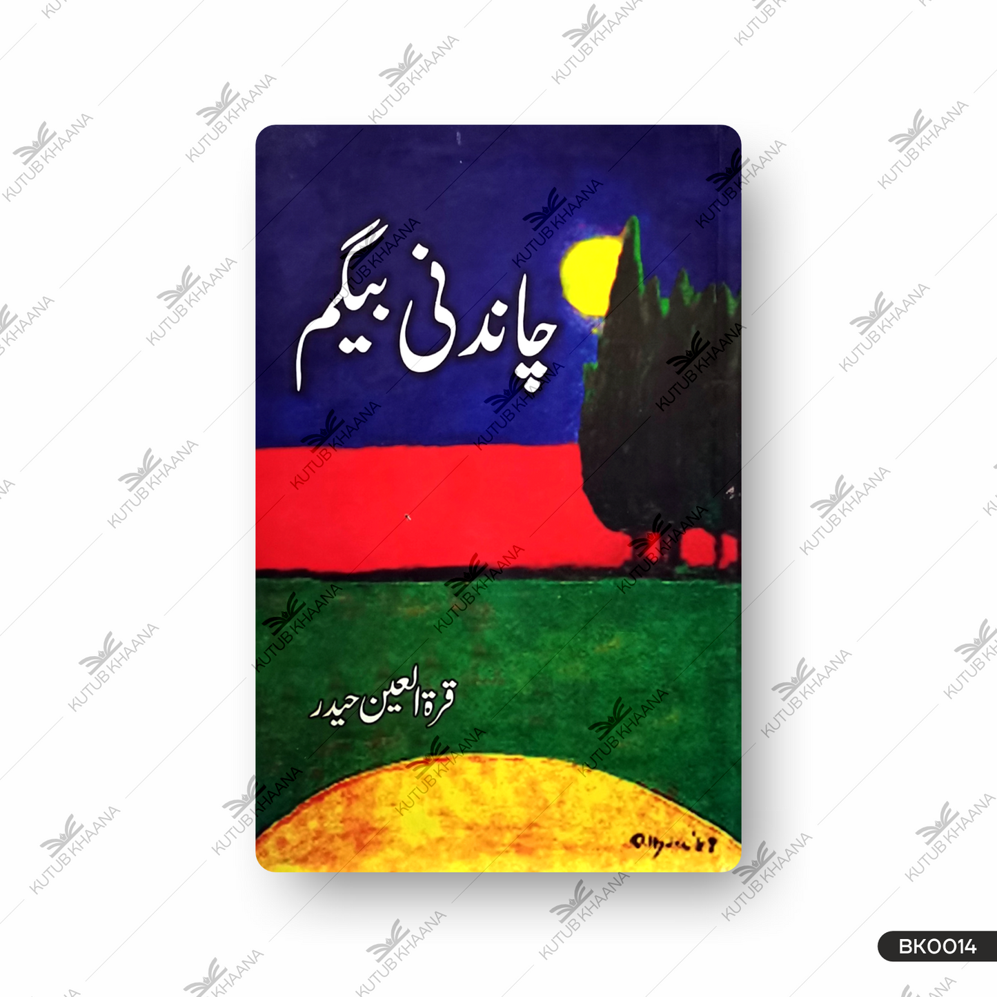 چاندنی بیگم چاندنی بیگم