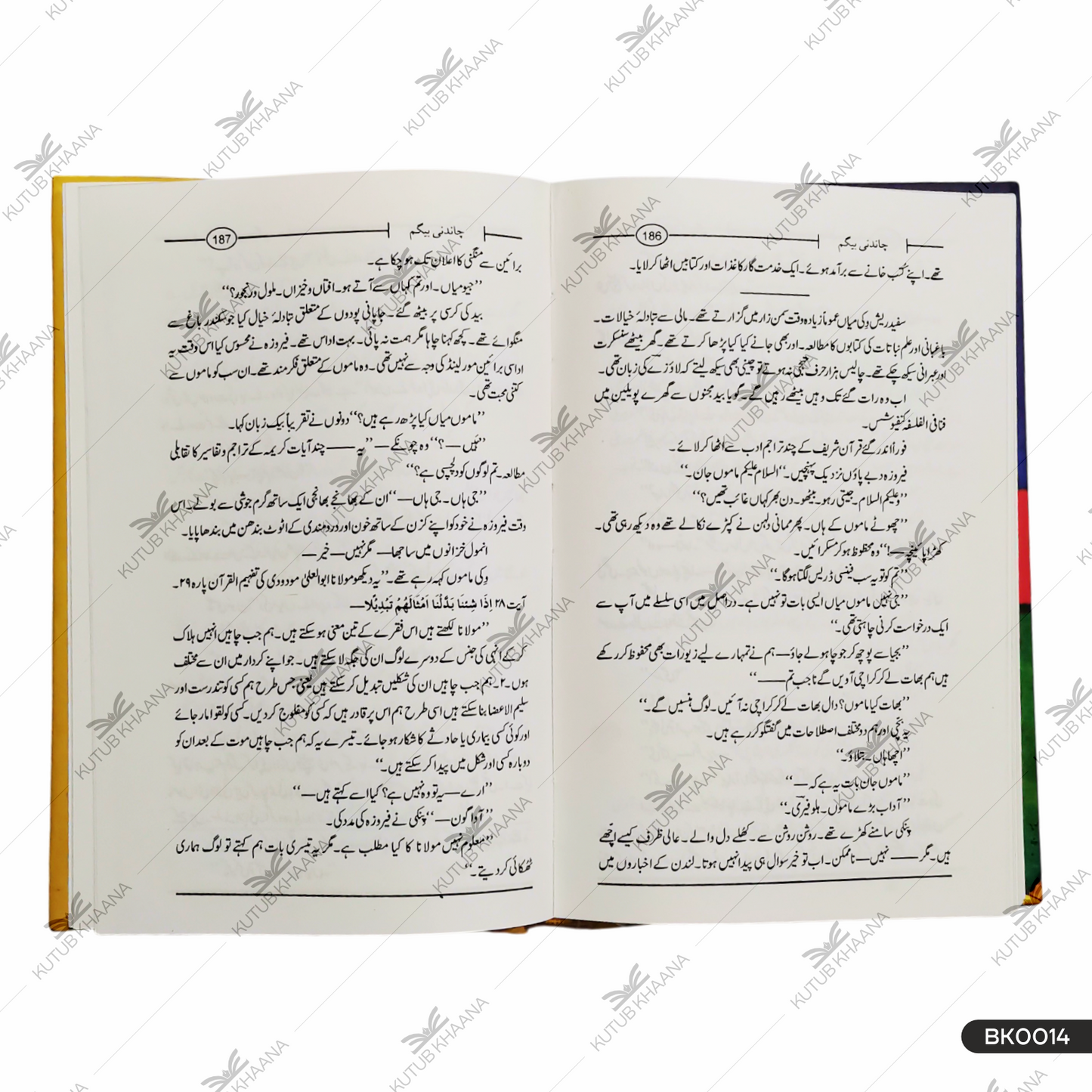 چاندنی بیگم چاندنی بیگم