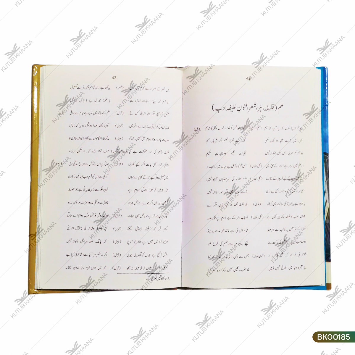 Iqbal Ke Islami Mauzuaat