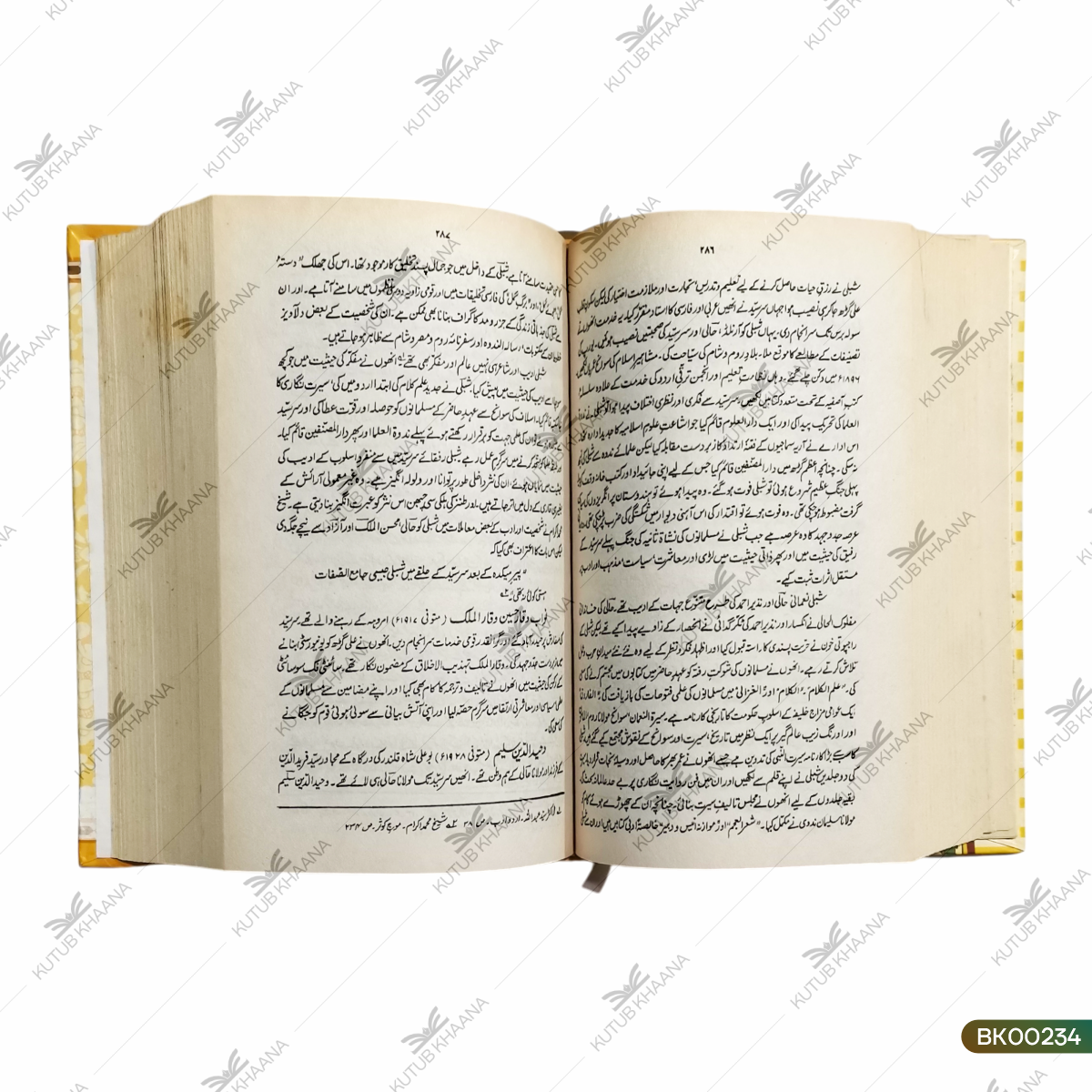 Urdu Adab Ki Mukhtasar Tareekh