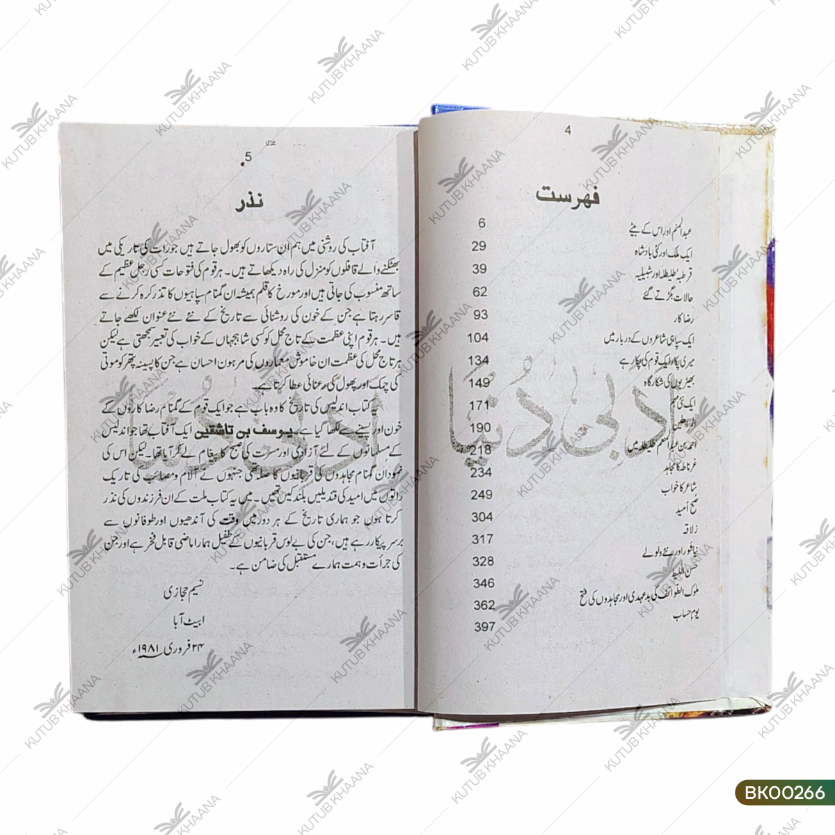 Yusuf Bin Taashqeen