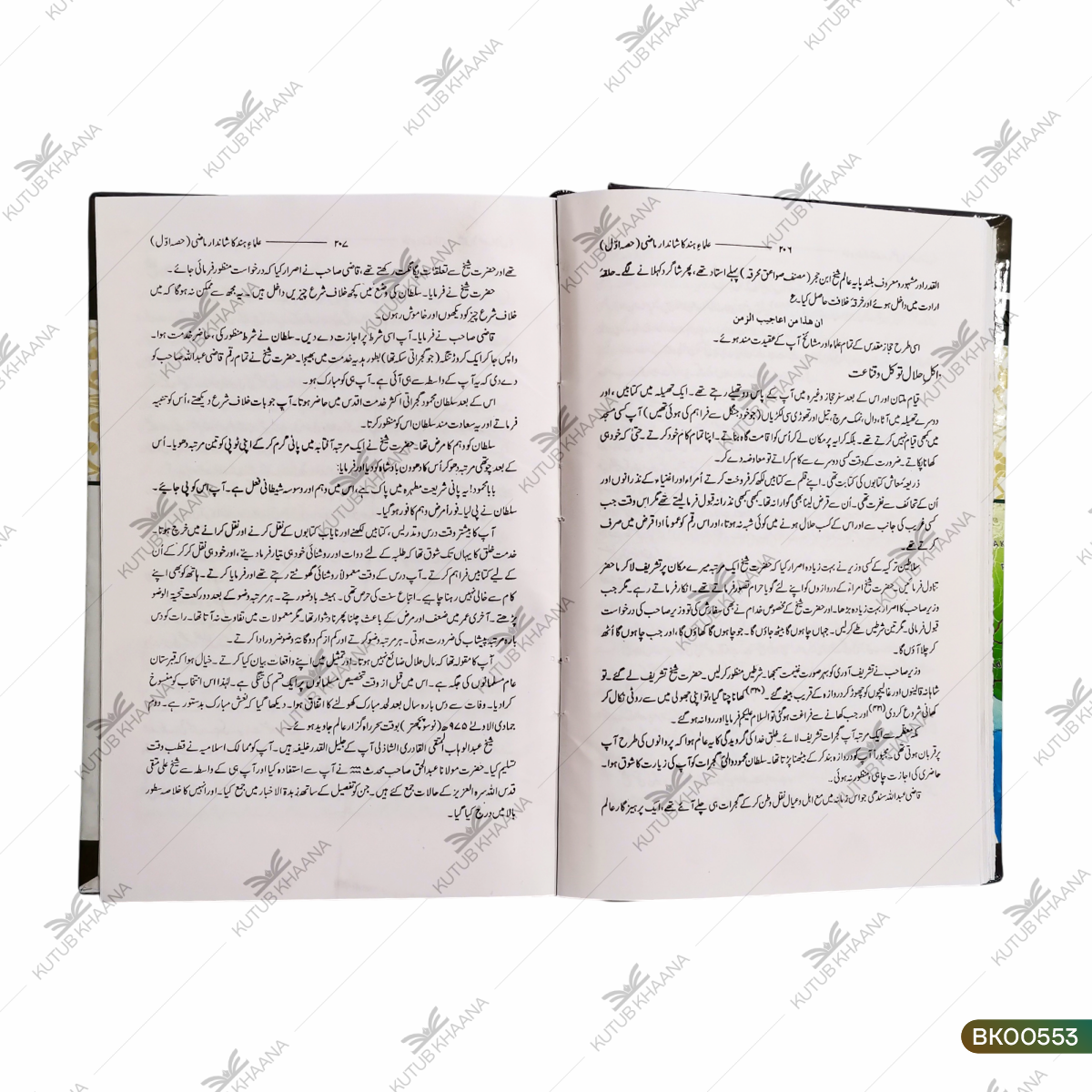 Ulamae Hind Ka Shandar Maazi