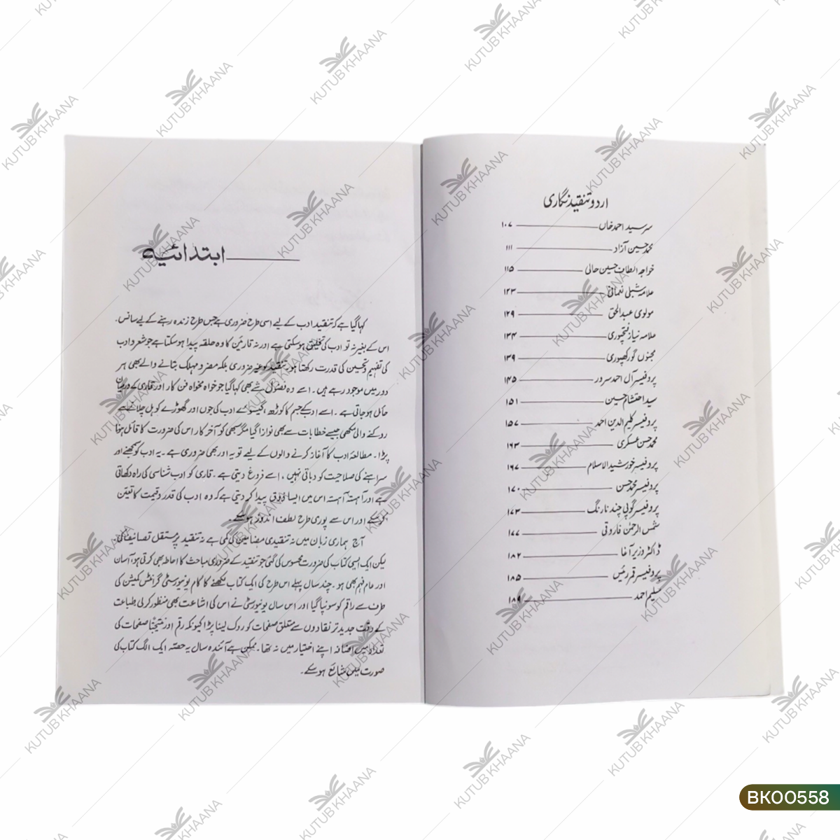 Fanne Tanqeed Aur Urdu Tanqeedi Nigaari