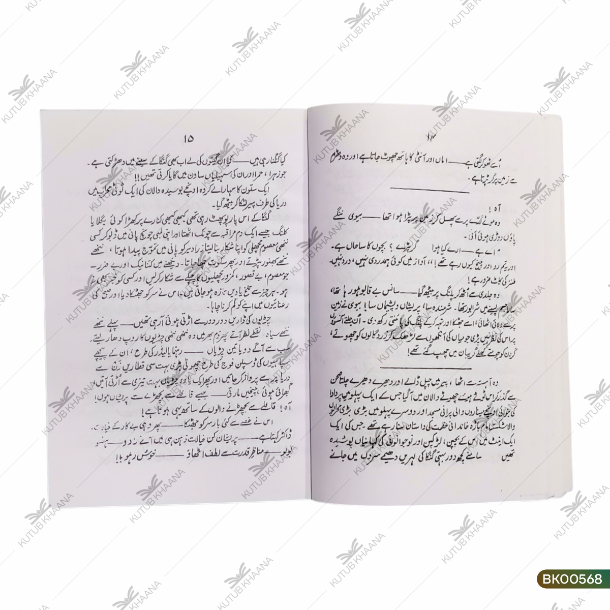 Apni Apni Saleb (Novel)