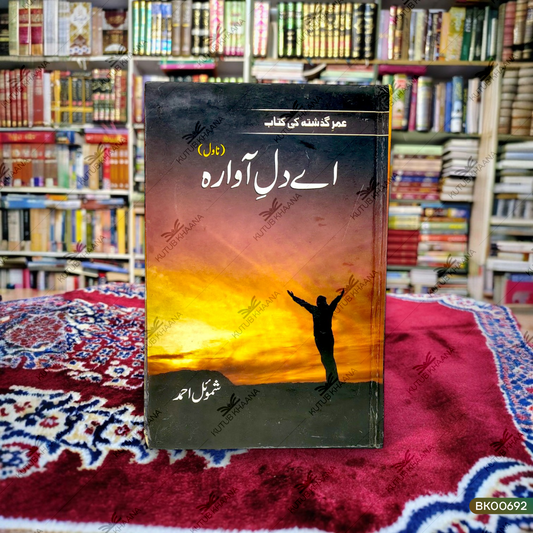 Ae Dil-e-Aawara (Novel)