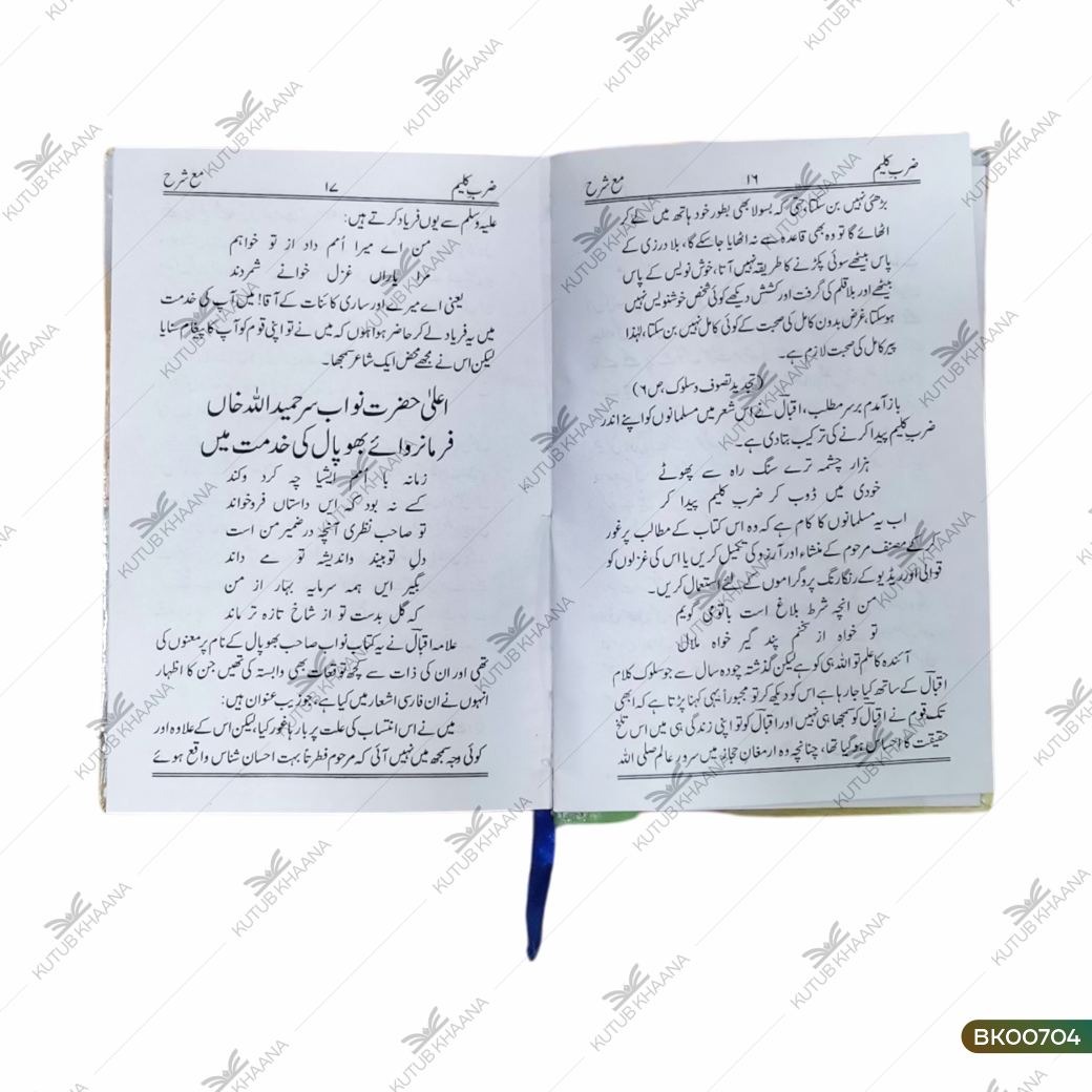 Zarb-e-Kaleem