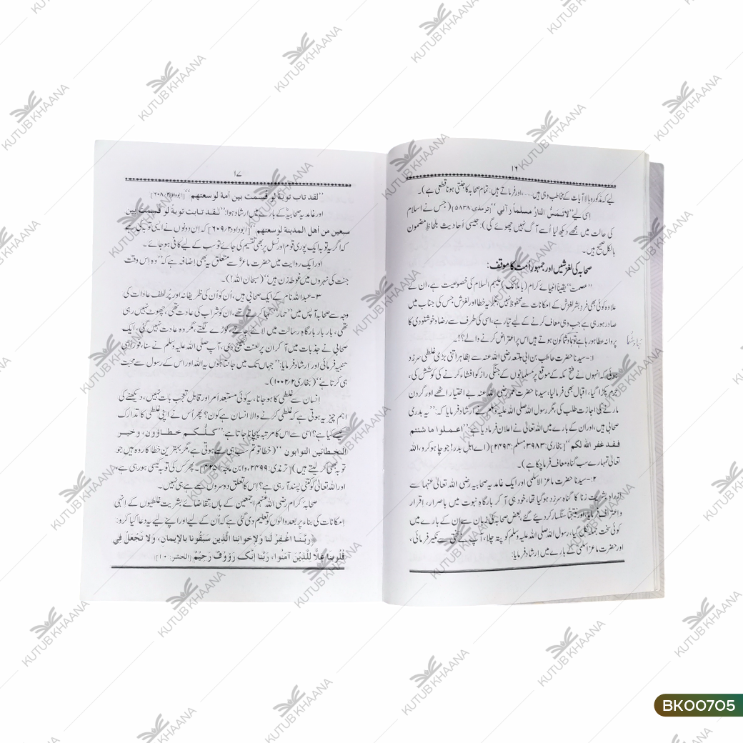 Hurmat-e-Sahaba (Haqaiq aur Dalail ki Roshni Mein)