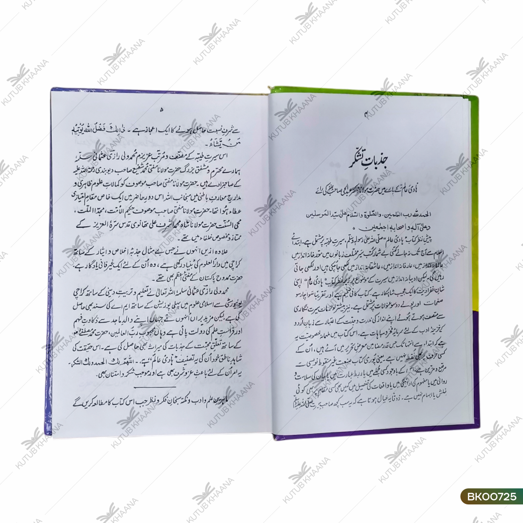 Hadi-e-Aalam