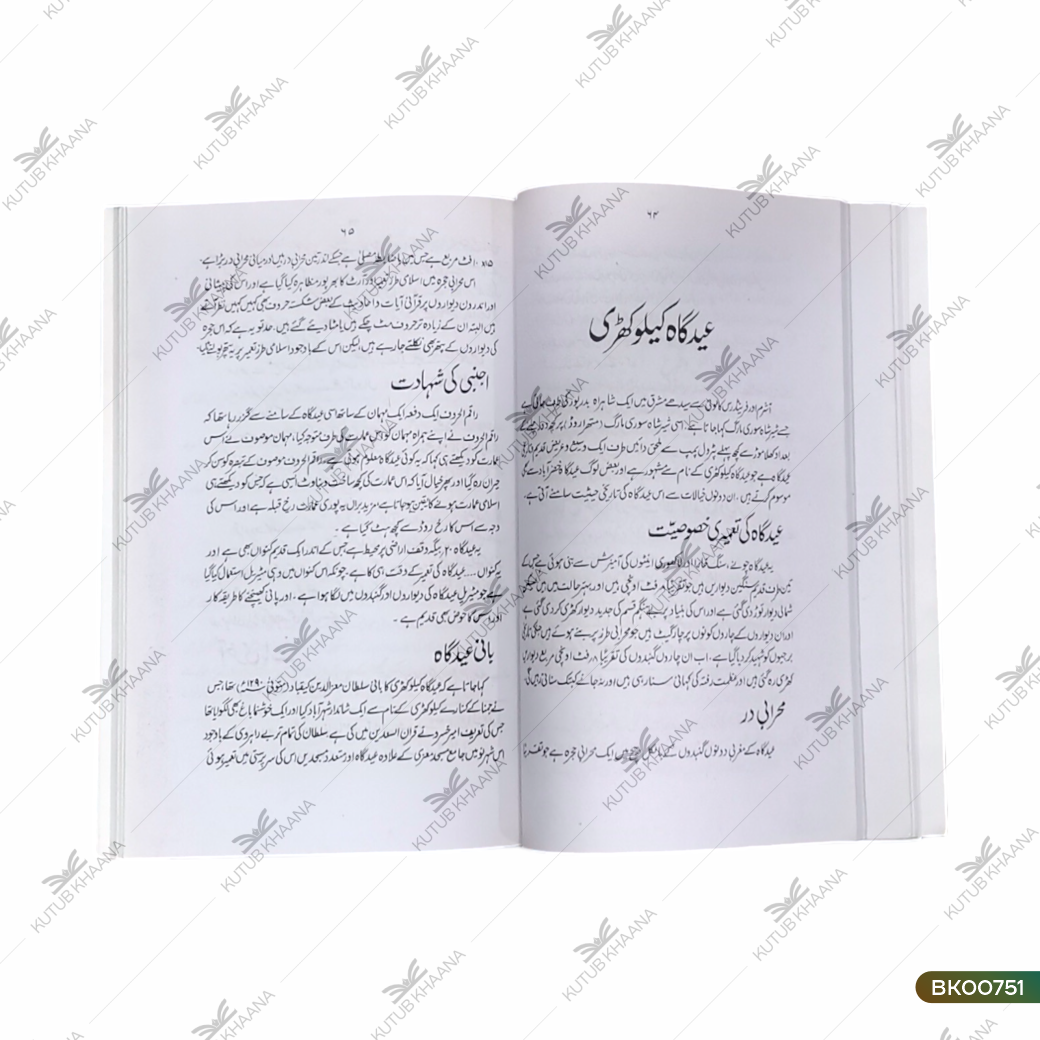 Delhi Ki Tareekhi Masajid - 2 Volume
