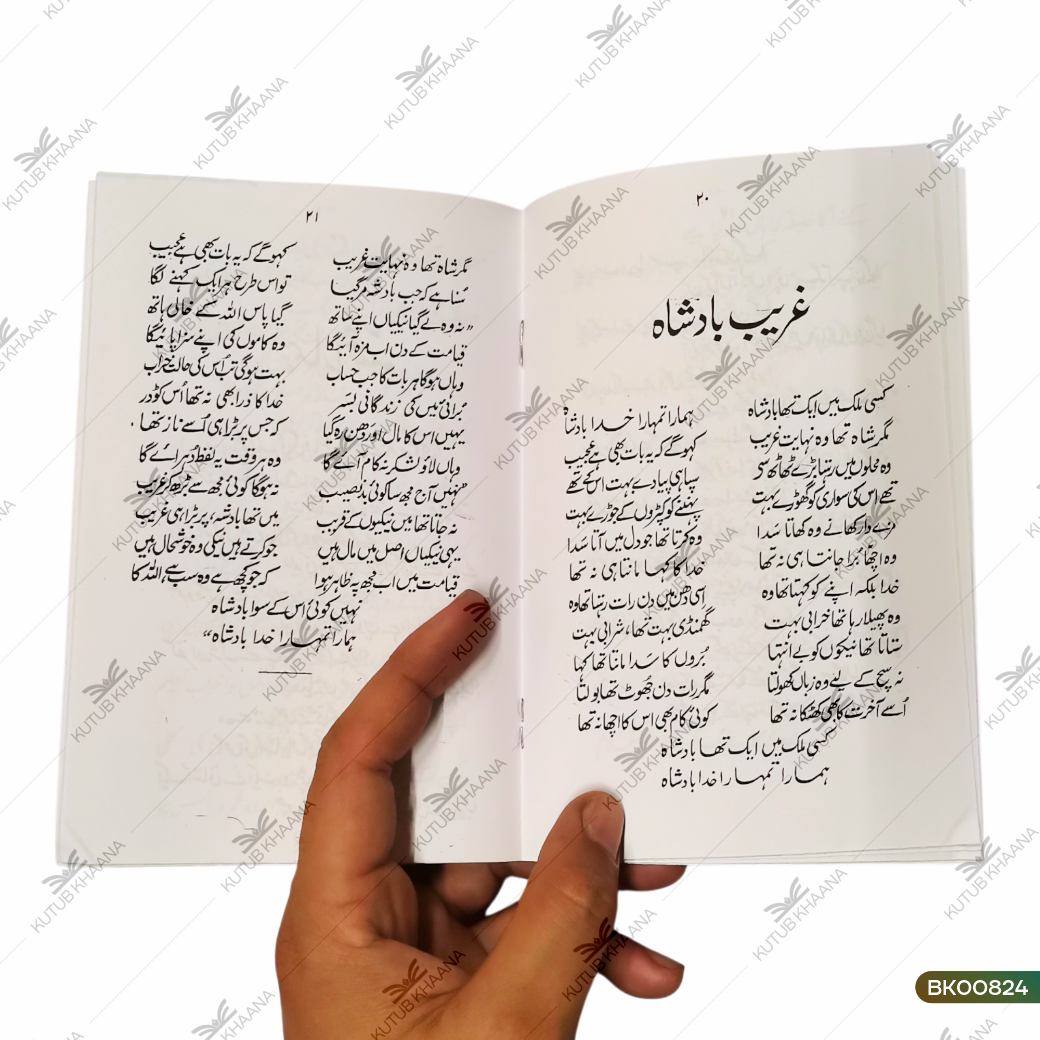 Bewaqoof Ki Talash