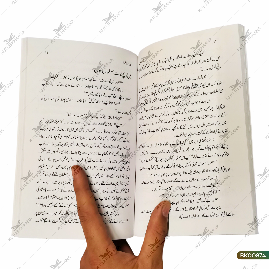 Hamara Ibne Batoota