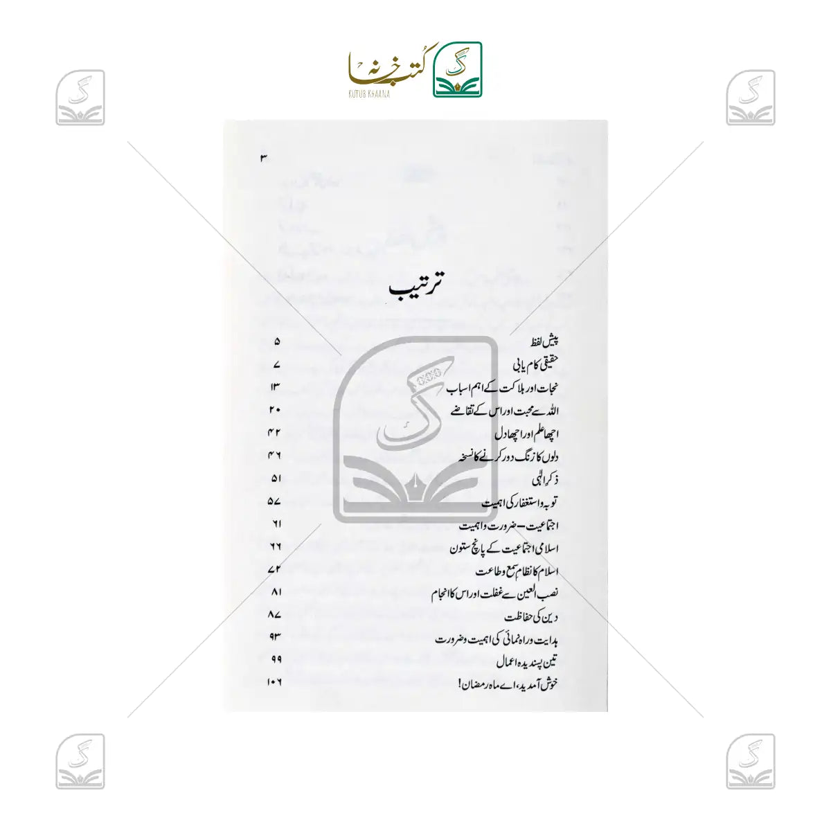 Noor-e-Nubuwat Ki Kirnein (Duroose Hadees)