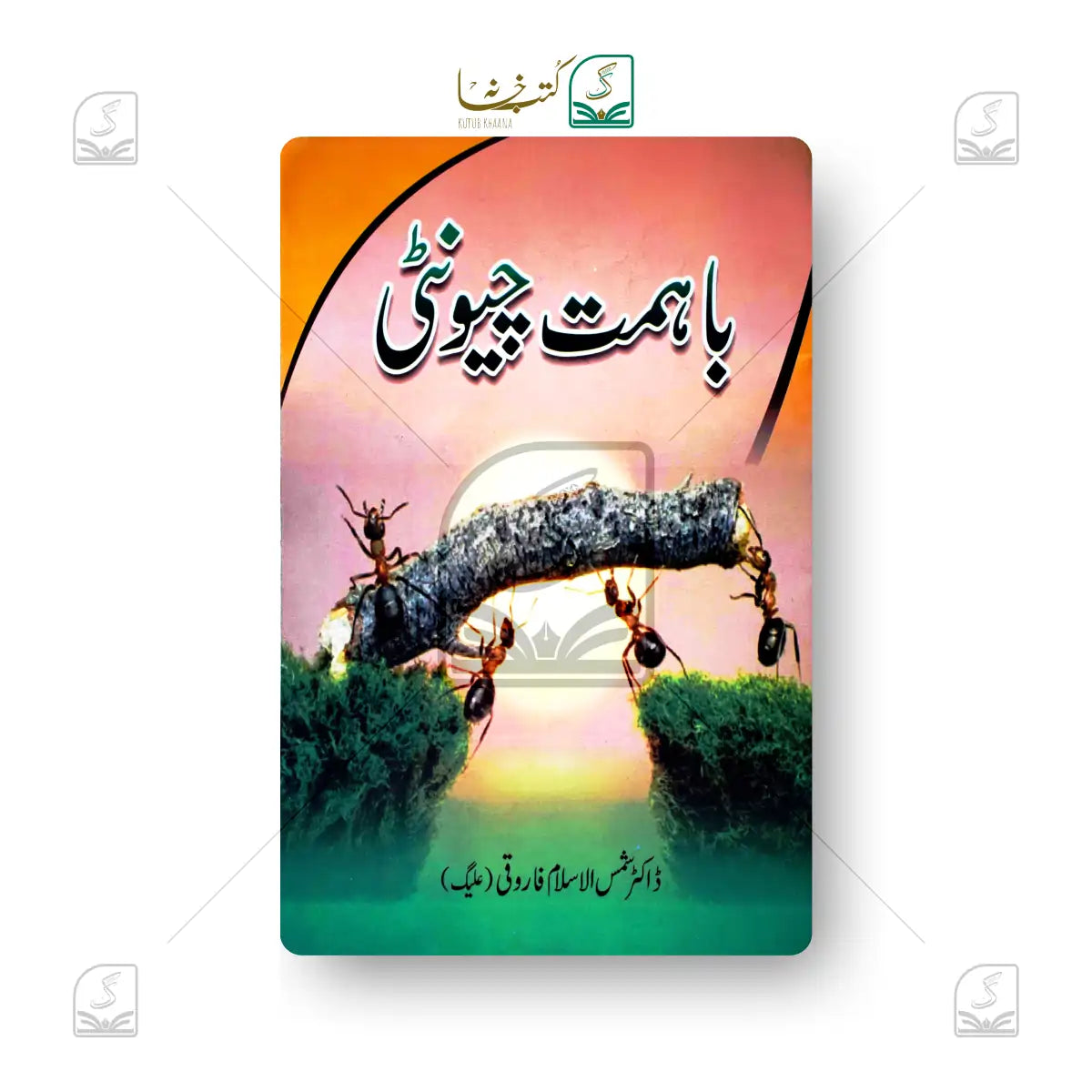 Ba Himmat Cheenti