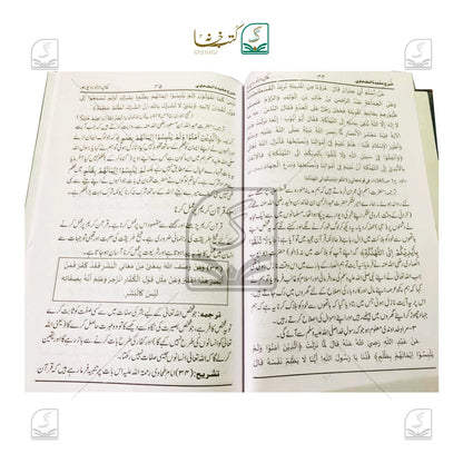 Sharh Aqeedatut Tahawi Urdu