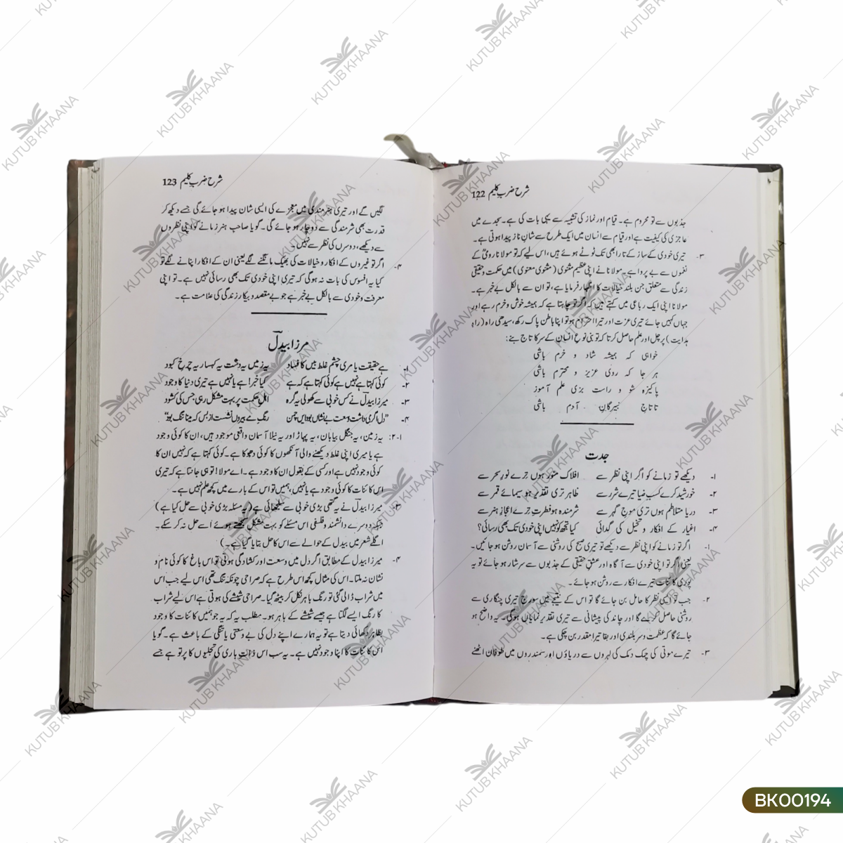 Sharh Zarb-e-Kaleem (Matan, Lughat wa Tashreeh)