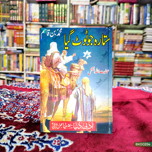 Sitara Jo Toot Gya (Muhammad Bin Qasim)