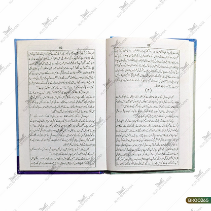 Dastaan-e-Mujahid