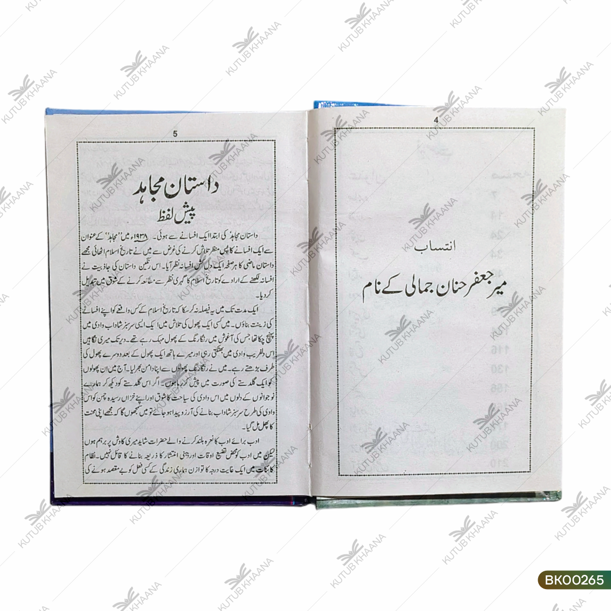 Dastaan-e-Mujahid