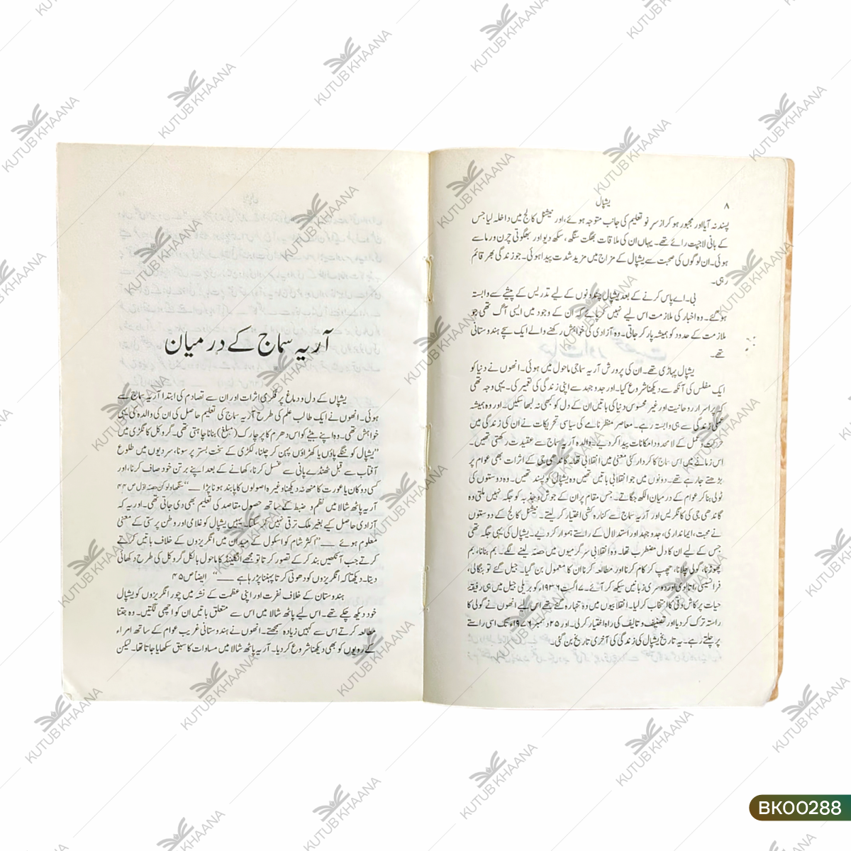 Yashpaal (Hindustani Adab Ke Me'maar)