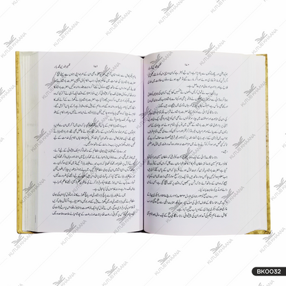 Zaheeruddin Muhammad Babar Musalman Wa Hindu Muarrikheeen Ki Nazar Mein