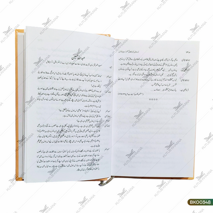 Urdu Novel Mein Tabqaati Shaoor
