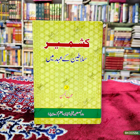 Kashmir Salateen Ke Ahd Mein