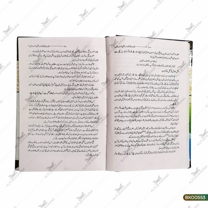 Ulamae Hind Ka Shandar Maazi