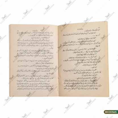 Rait Ki Deewarein (Novel)