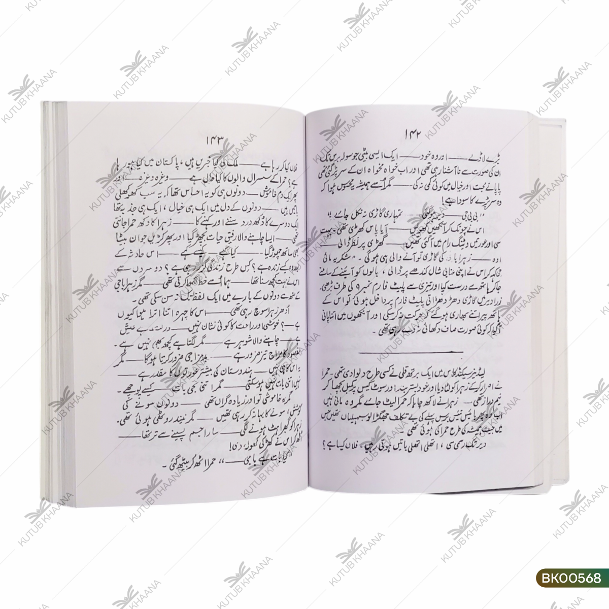 Apni Apni Saleb (Novel)