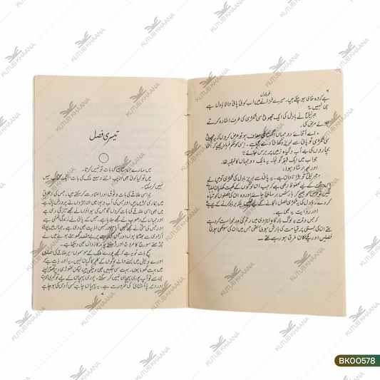 Banjar Baadal (Novel)