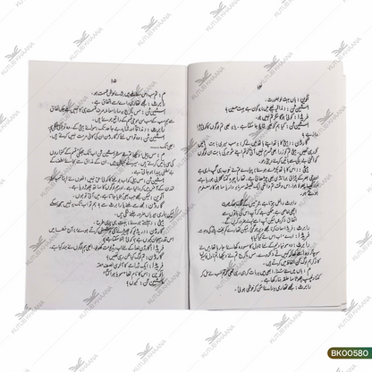Aaina-e-Ayyam