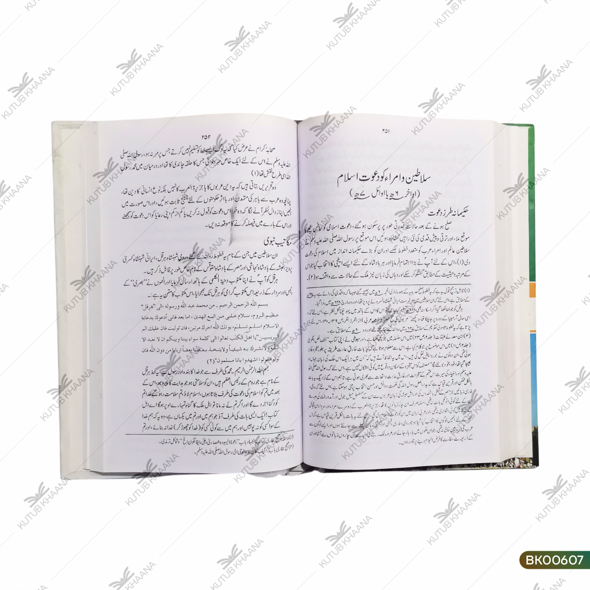 Nabi-e-Rahmat (SAW)