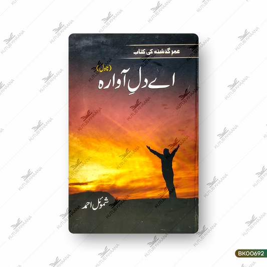 Ae Dil-e-Aawara (Novel)