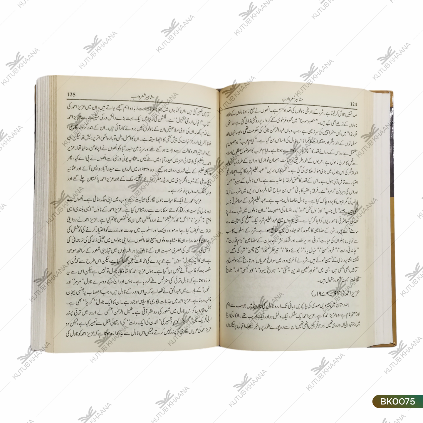 مشاہیر شعر و ادب
