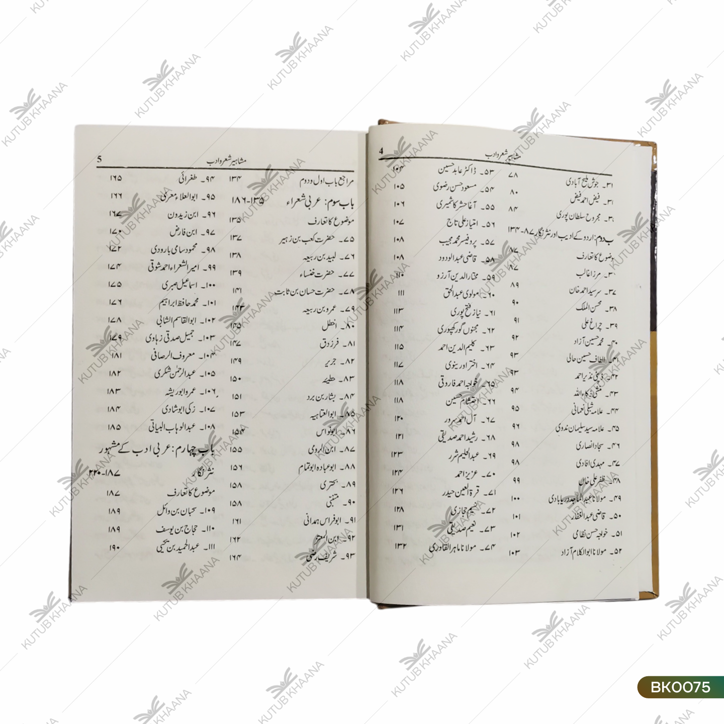 مشاہیر شعر و ادب