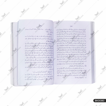 Kulliyat-e-Balwant Singh - 1 Volume