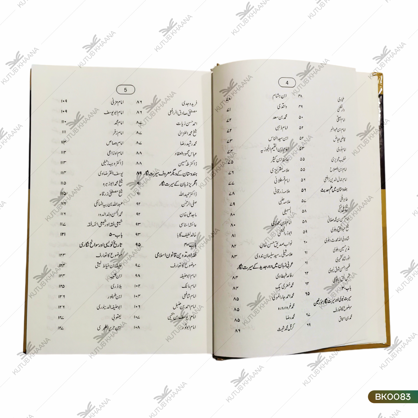 Mashaheere Uloome Islamiya Aur Mufakkireen Wa Musliheen