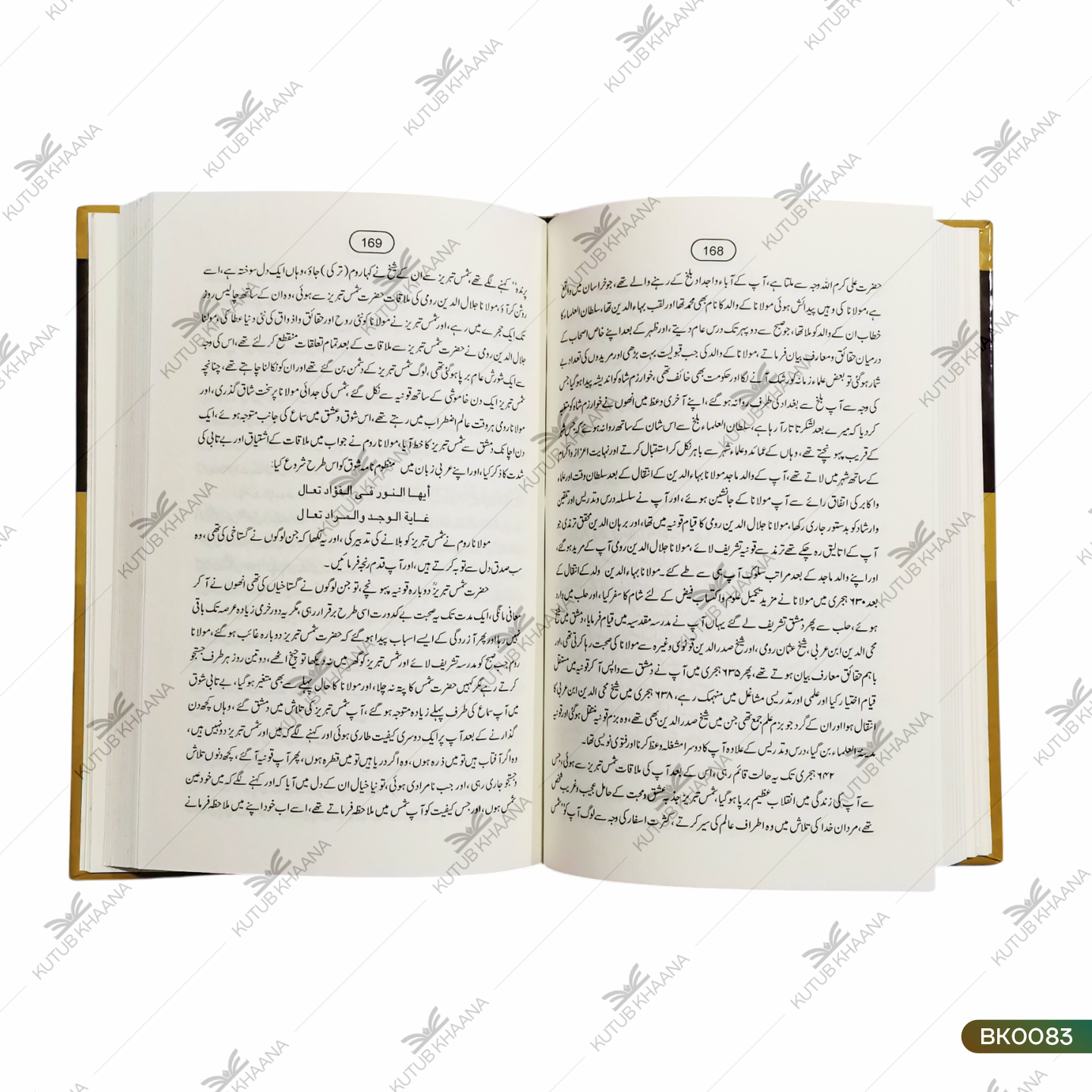 Mashaheere Uloome Islamiya Aur Mufakkireen Wa Musliheen