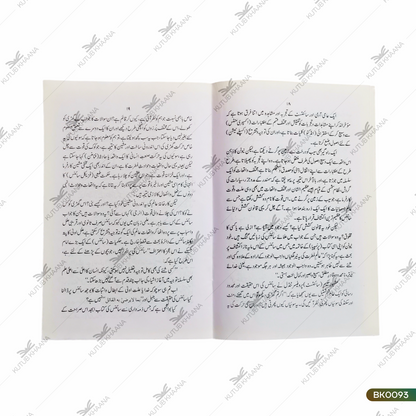 Mazhab Aur Aqliyat