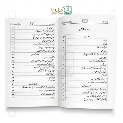 حجۃ الاسلام حجۃ الاسلام