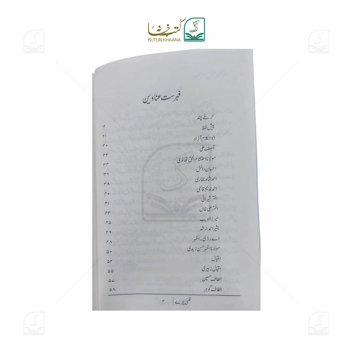 Qalmi Chehre