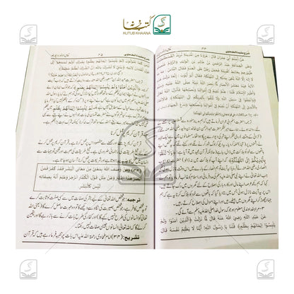 Sharh Aqeedatut Tahawi Urdu