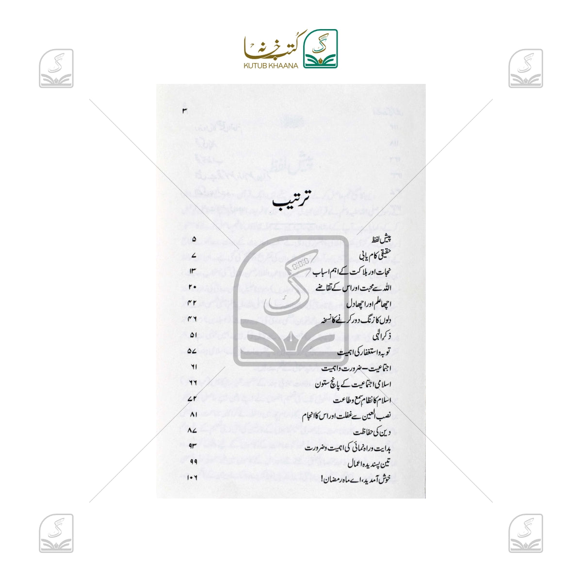 Noor-e-Nubuwat Ki Kirnein (Duroose Hadees)