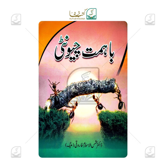 Ba Himmat Cheenti