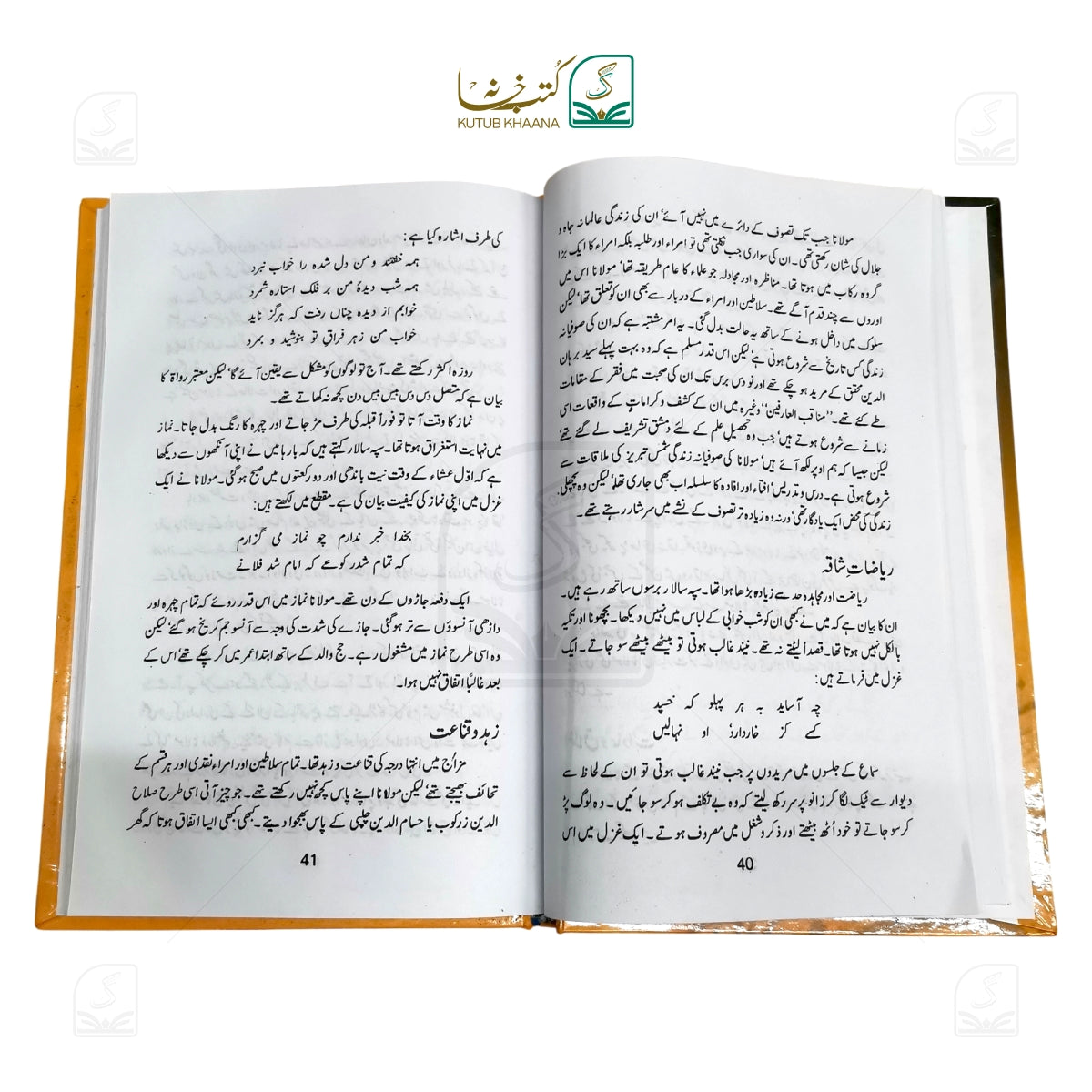 Sawaneh Maulana Rumi (RH)