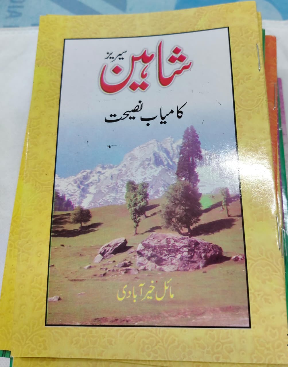 Shahin Series Complete 24 Book Set – by Mayal Khairabadi