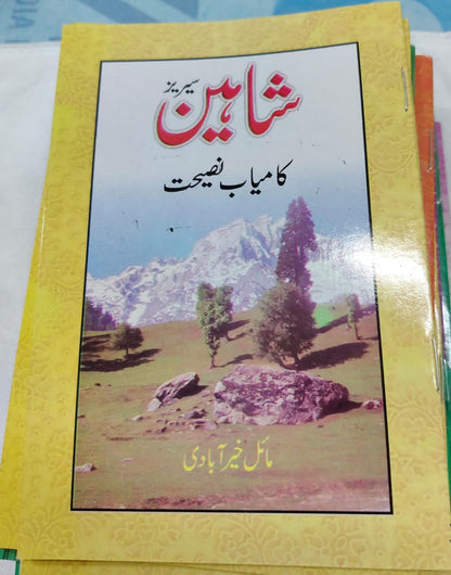 Shahin Series Complete 24 Book Set – by Mayal Khairabadi