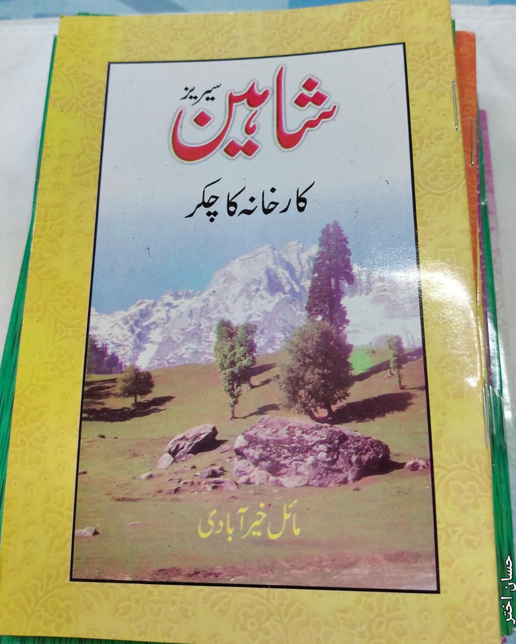 Shahin Series Complete 24 Book Set – by Mayal Khairabadi