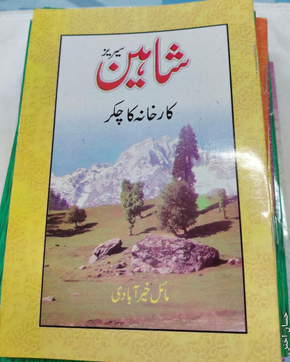 Shahin Series Complete 24 Book Set – by Mayal Khairabadi